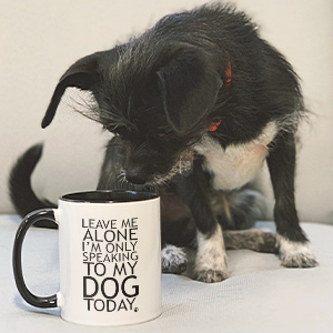 Cute dog looking at a custom printed coffee mug with text that reads: Leave me alone. I'm only speaking to my dog today.
