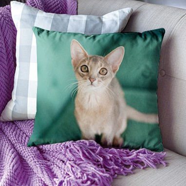 Custom printed pillows on couch. One pillow has a cute cat photo custom printed on it.