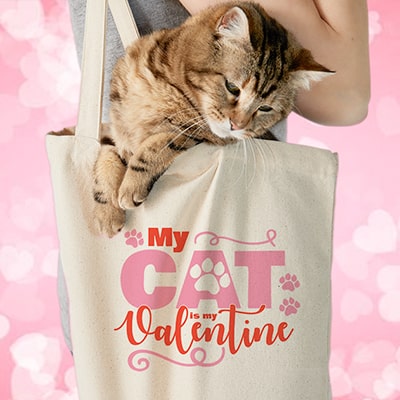 Cat popping out of a tote bag. The bag has a custom printed design with stylized text that reads: My Cat Is My Valentine.