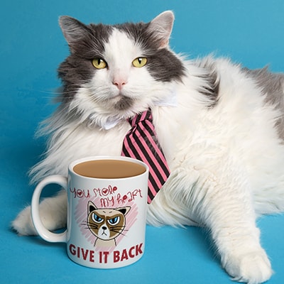 Cute cat wearing a tie sitting beside a coffee mug. The mug has a custom printed design with a funny angry cat illustration and stylized text that reads: You stole my heart. Give it back.