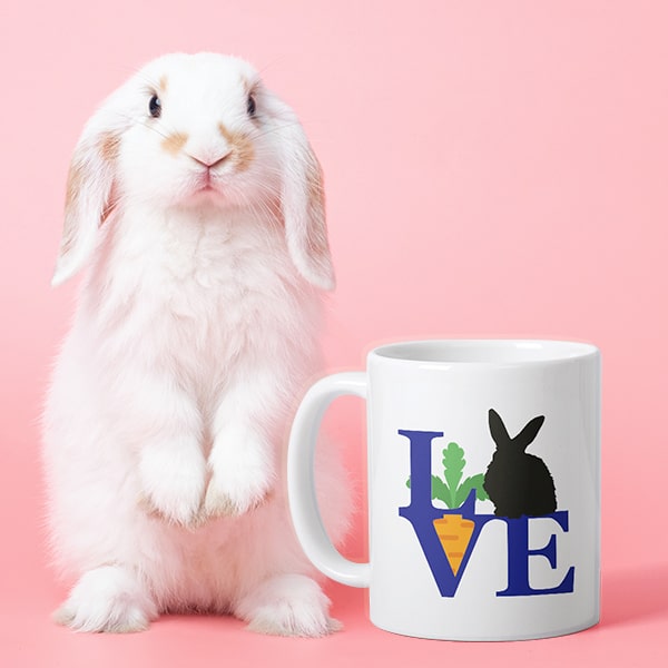 A cute bunny sitting up next to a mug with a design reading - Love - where the O is a silhouette of a bunny.