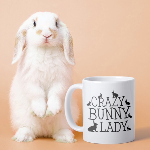 A cute bunny sitting up next to a mug with a design reading Crazy bunny lady.