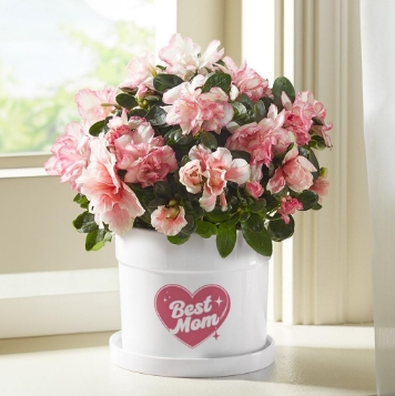 Beautiful flowers in a flower pot with heart and text design: Best Mom.