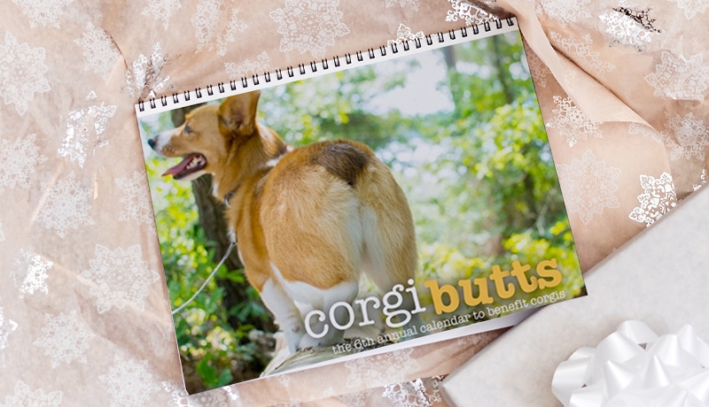 Custom printed 2020 calendar gift ideas - example of pet Corgi calendar.