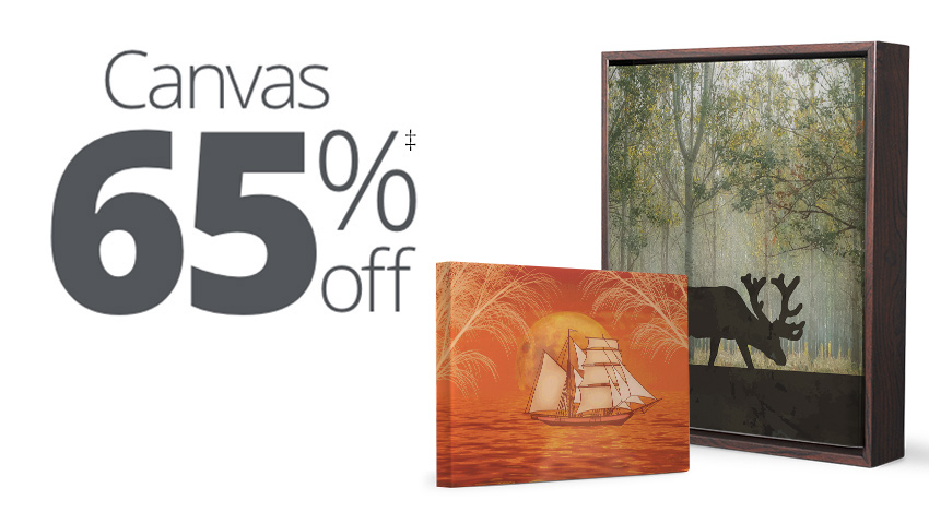 Canvas 65% off.