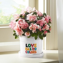 Shop NEW! Flower Pots